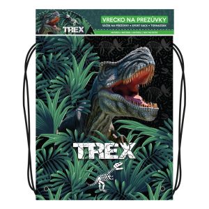 Kapsa na přezůvky s potiskem - Seria 6 - T-Rex